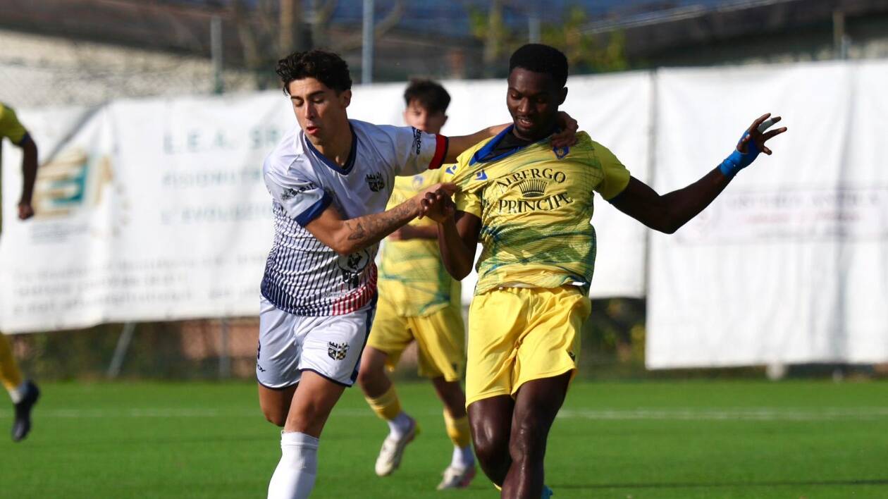 Eccellenza, il Terre di Castelli torna alla vittoria ma perde Caniparoli