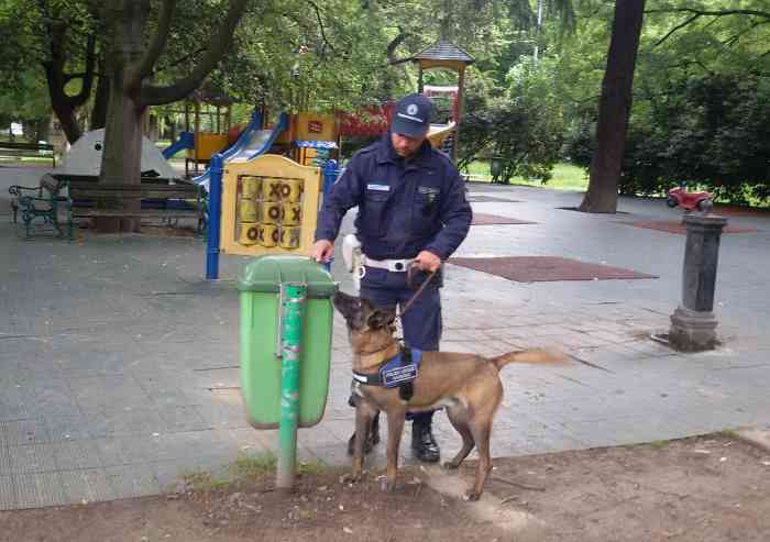 Il pastore tedesco Axel alla ricerca di stupefacenti nei parchi di Modena