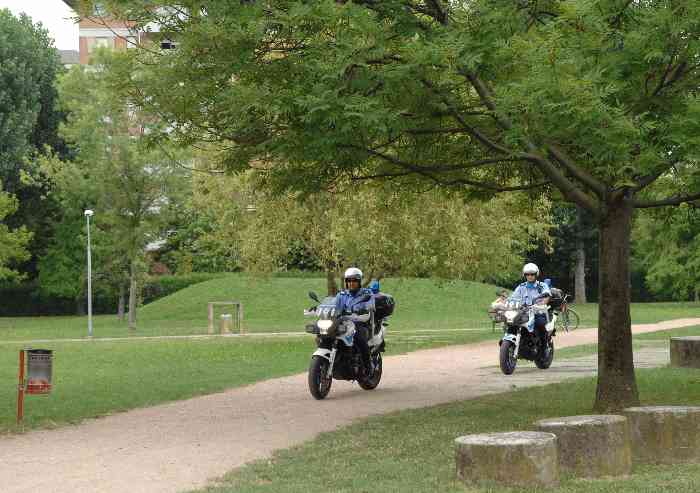 'Giornalista di Tvqui multato perché si sdraia ai Giardini Ducali: è questo il degrado?'