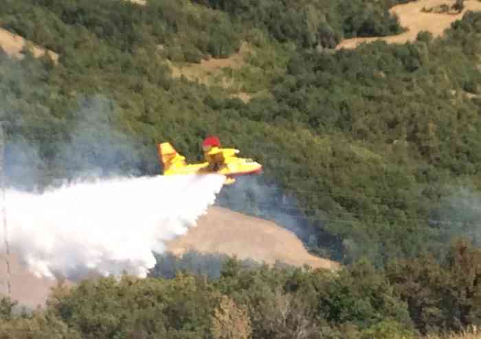Rogo a Valdalbero: 30 vigili, 9 mezzi Canadair ed elicottero al lavoro