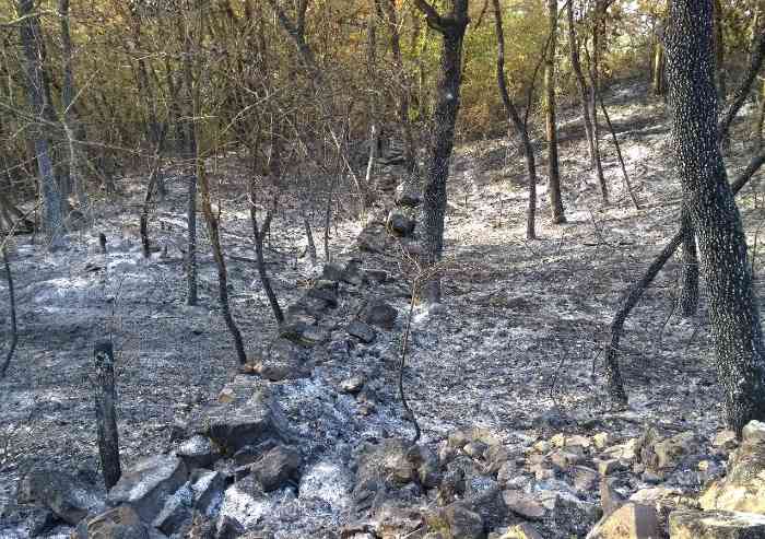 Il giorno dopo l'incendio