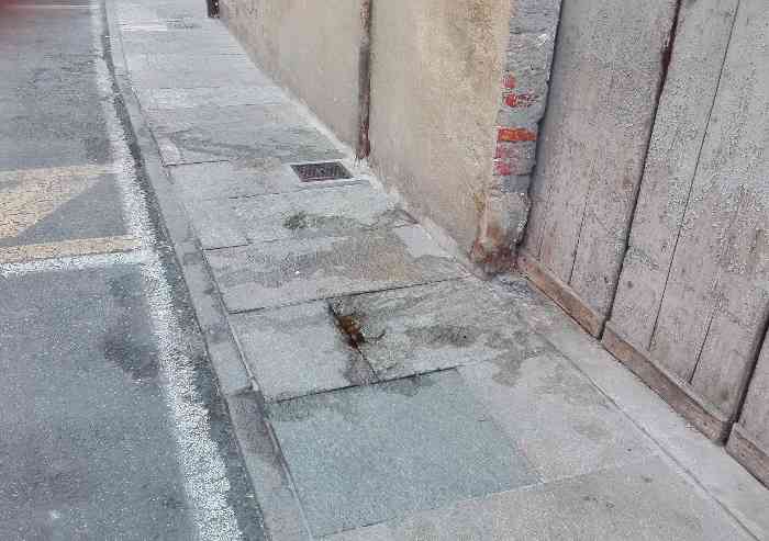 'Questa strada è un vespasiano'