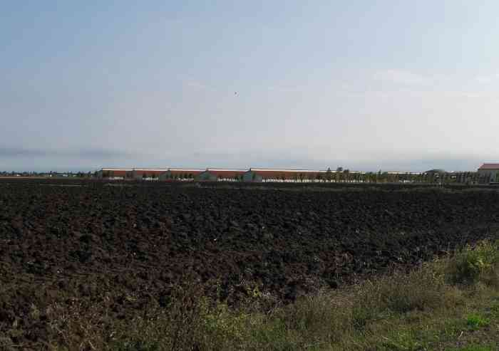 'Allevamento intensivo a Finale, manca la trasparenza sul progetto'