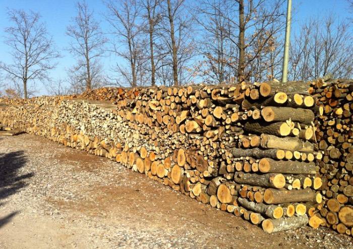 Smog, imprese agroforestali: colpa delle auto non della legna