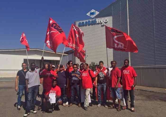 Castelfrigo, Alleanza Cooperative contro le coop spurie