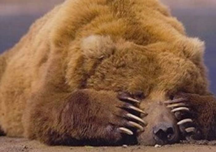 Rifiuti in Regione: l'orrore montagne di vetro e il nodo della salute