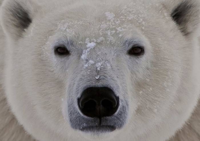 Gestione rifiuti in ER, gli assimilati industriali e la verità negata