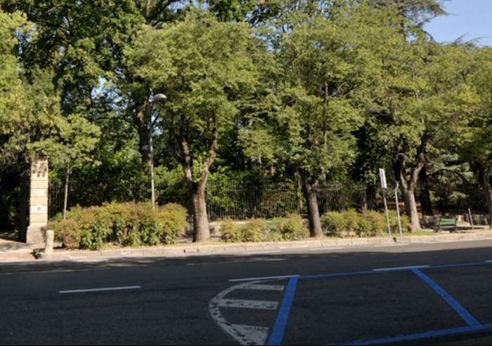 Albero 42: 'Se allungo i rami e vedo l'inceneritore bruciare'