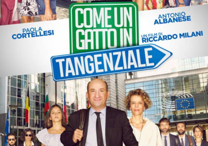 Come un gatto in tangenziale