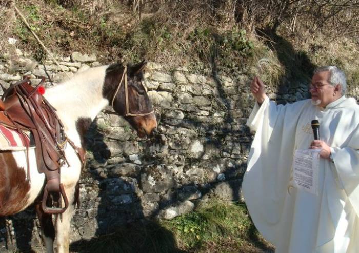 Gaiato di Pavullo, domenica la benedizione degli animali
