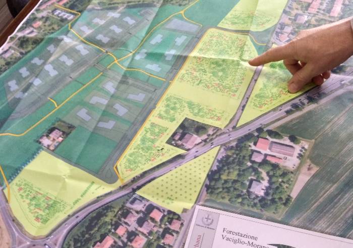 'Bosco urbano? Un bluff, il saldo non è zero'