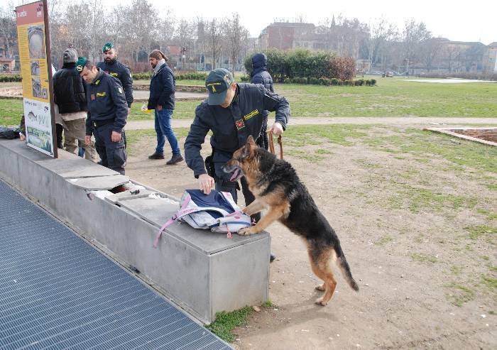 Blitz antidroga della Finanza al Novi Sad