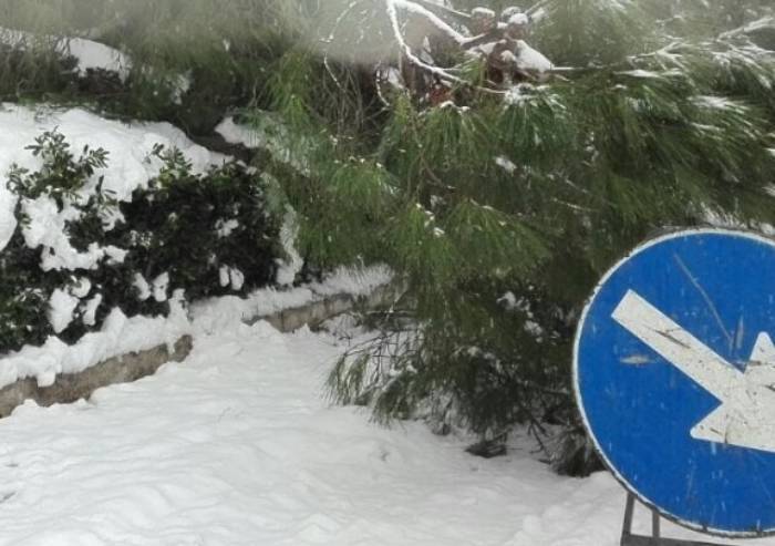 Frana a Montecreto, evacuate due case a rischio
