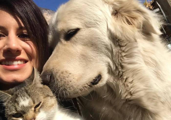 Cane sequestrato perché abbaia: 'Era il sollievo della padrona malata'