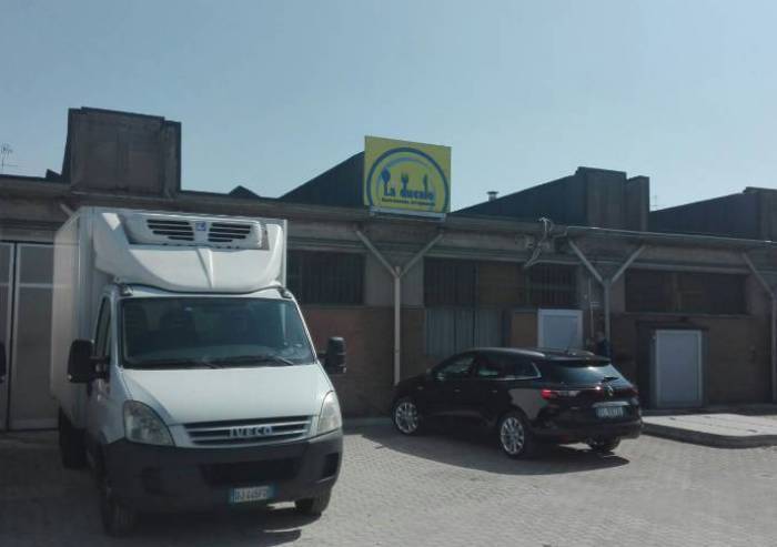 Tenta di rubare in azienda gastronomica, arrestato un nomade Sinti