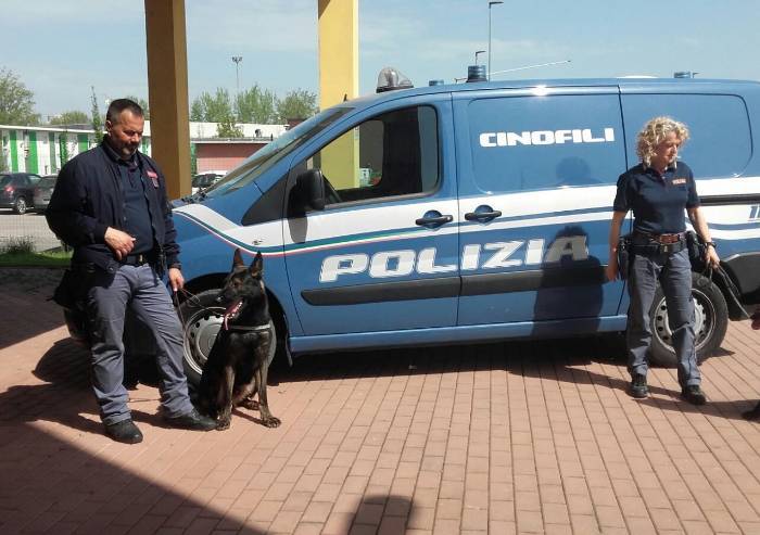 Blitz antidroga a scuola a Mirandola: segnalati 4 minorenni