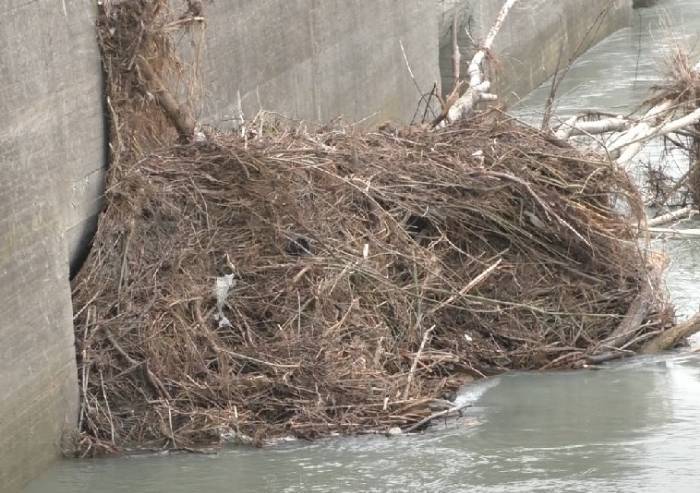 Casse di espansione Secchia, la diga ostruita dai detriti