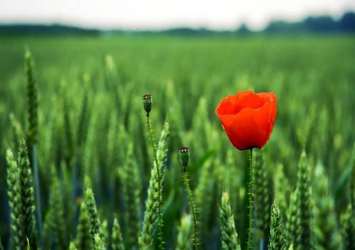 1? maggio, festa del lavoro: gli appuntamenti a Modena e provincia