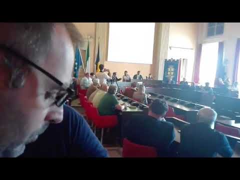 Il sindaco ha deciso: il Modena calcio è di Amadei e Sghedoni