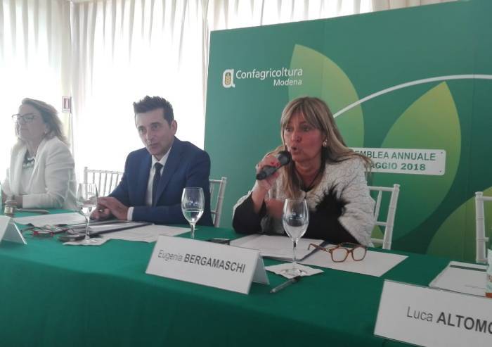 Confagricoltura Modena, Corradi presidente