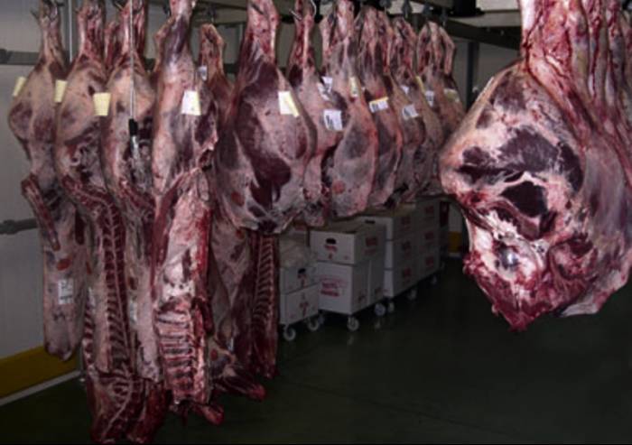 ErreNord, sequestrata carne scaduta in una macelleria marocchina