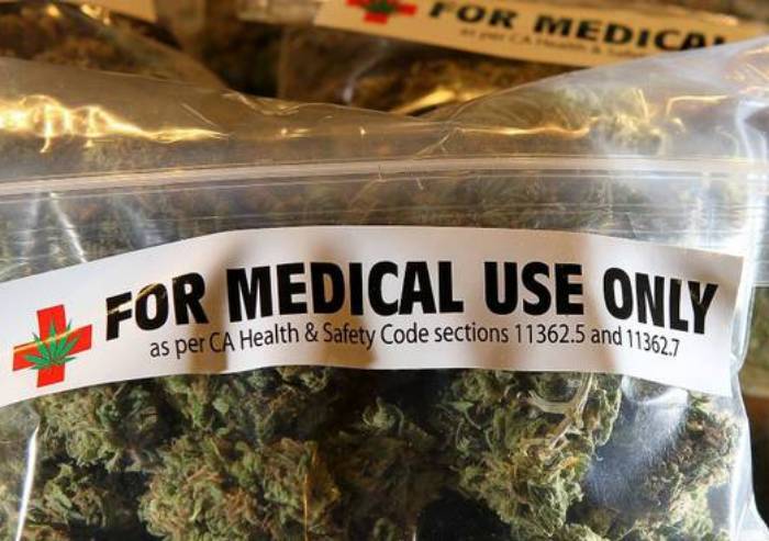 A Modena, in 20 mesi, 161 pazienti curati con la cannabis, e funziona