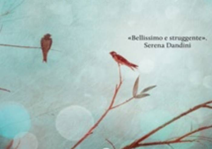 Chef'n Kit Germinazione Semi In Vetro - Per Erba Medica, Broccoli E Fagioli Mungo