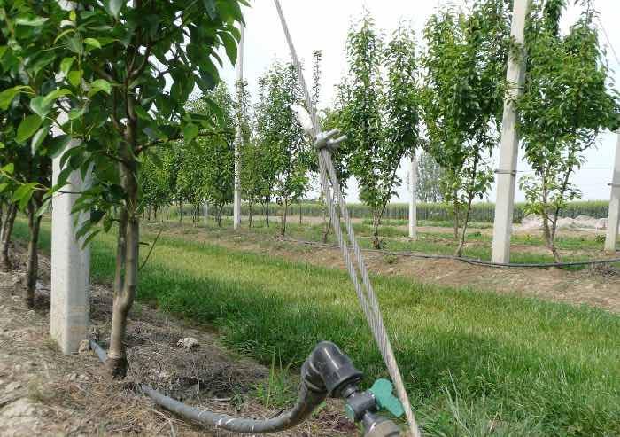 'Agroalimentare, Ceta positivo per l'Italia, il governo lo confermi'