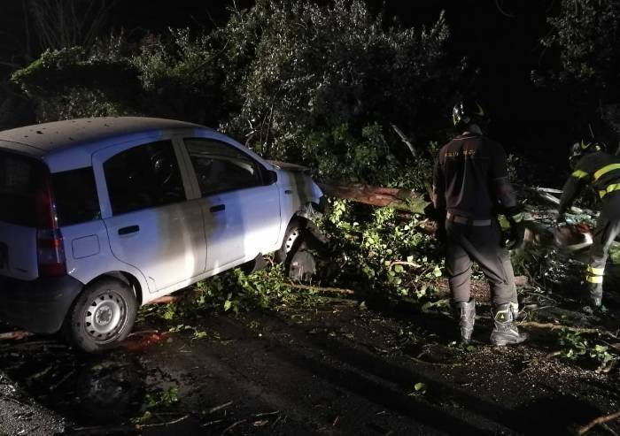Cavezzo, si scontra con gli alberi abbattuti dal temporale: ferito