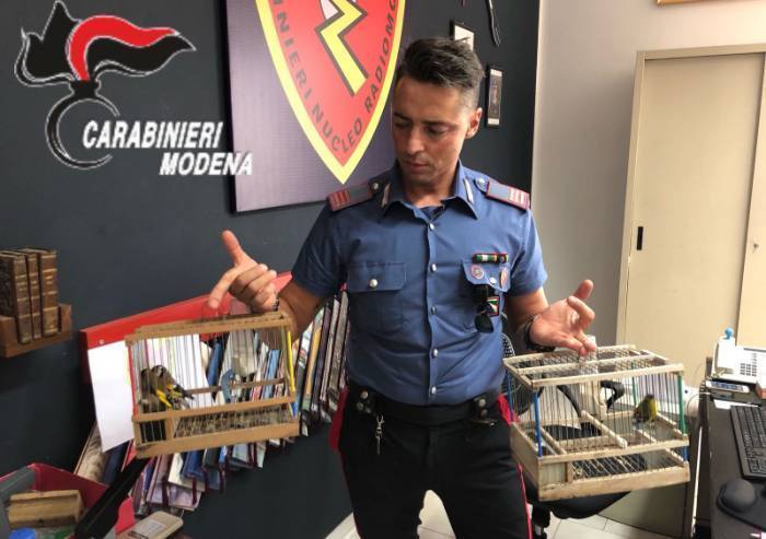 Carpi, denuncia un furto ma i Carabinieri denunciano lui