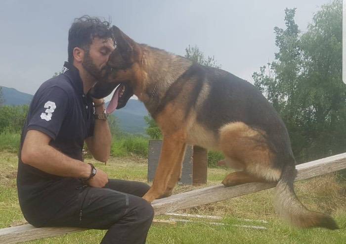 E' morto avvelenato Kaos il cane eroe di Amatrice