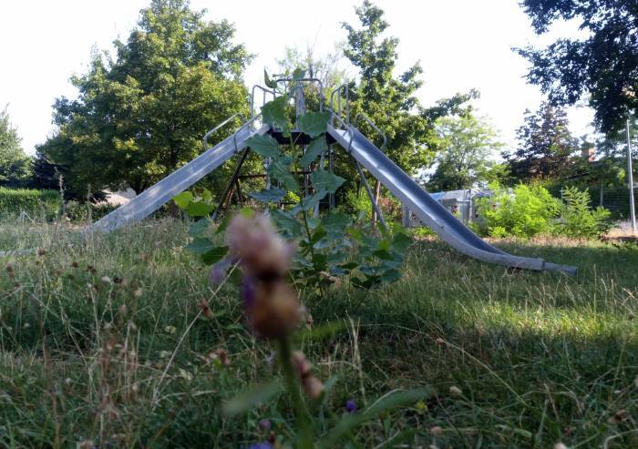 'A San Venanzio degrado senza fine'