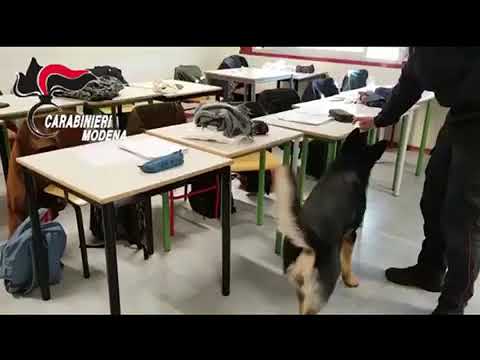 Droga al Calvi di Finale, fermato un 16enne