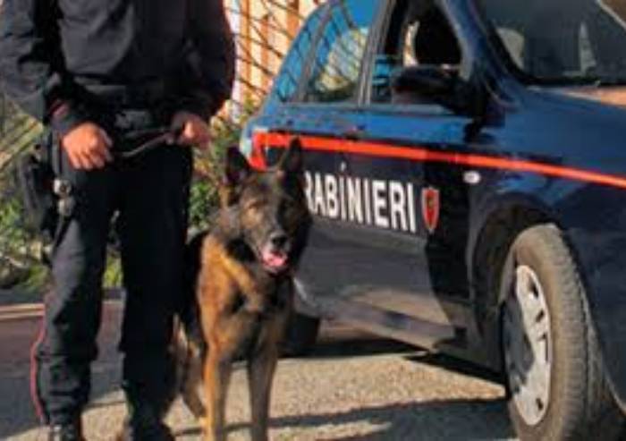 San Donnino, trovato un cadavere in aperta campagna