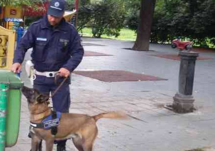 Spacciava cocaina: denunciato un 65enne italiano