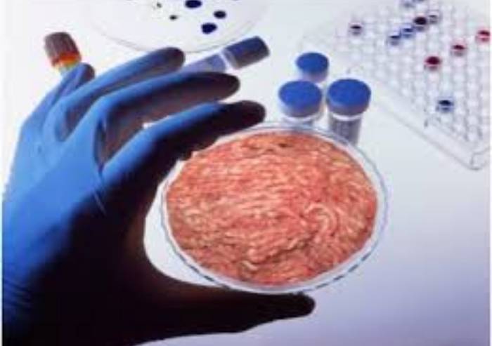 Carne 'in provetta', scienziati e produttori chiedono lo stop