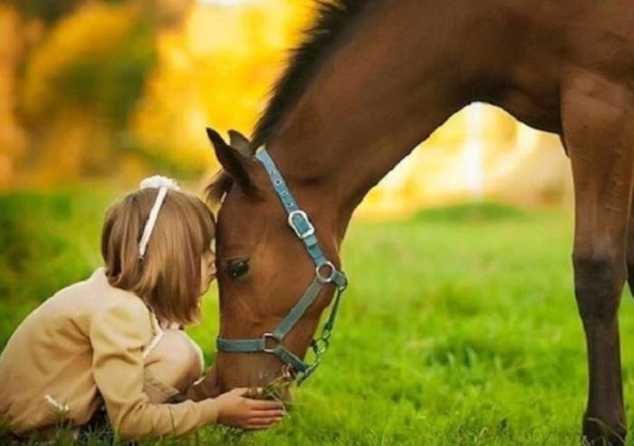 Dal palazzo Ducale a Verona in carrozza insieme ai bimbi disabili
