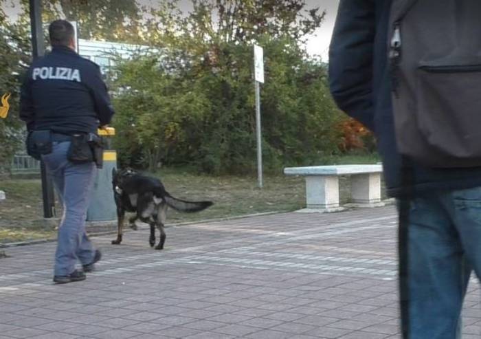 Cani antidroga a scuola a Carpi: ritrovata marijuna nei bagni