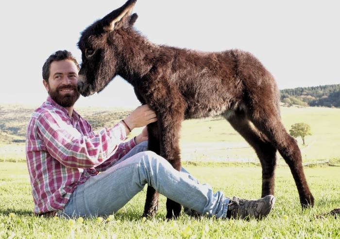 Grandi scrittori e pellicole in odore di Oscar al Reggio Film Festival