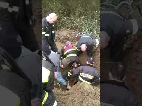 Vigili del fuoco salvano cane da caccia rimasto incastrato in una tana