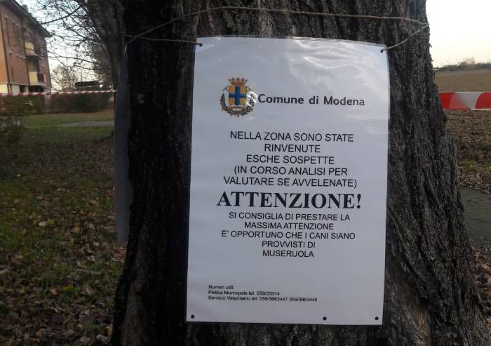 Attenzione, possibili bocconi avvelenati al parchetto di Ganaceto