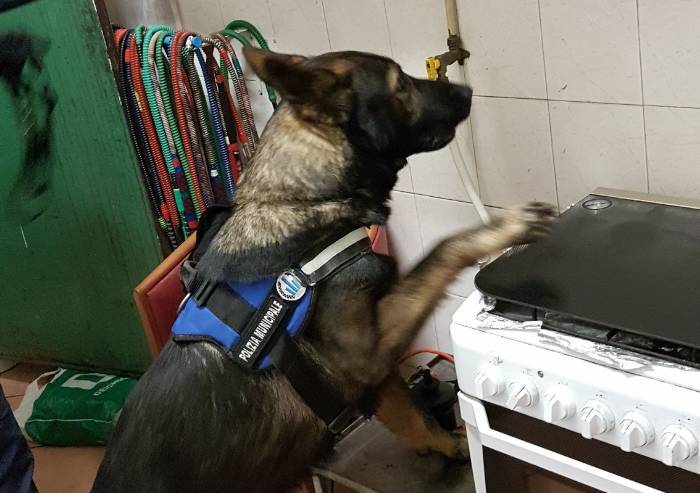 Victor fiuta la droga nella cappa: due fermati