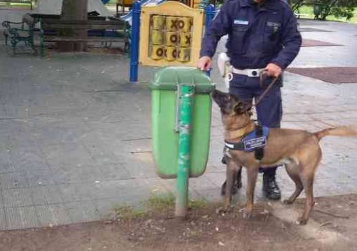 Vede i militari e getta 40 grammi di cocaina