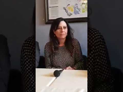 Carpi, la candidata Lega: 'Dossieraggio? Consumato troppo inchiostro'