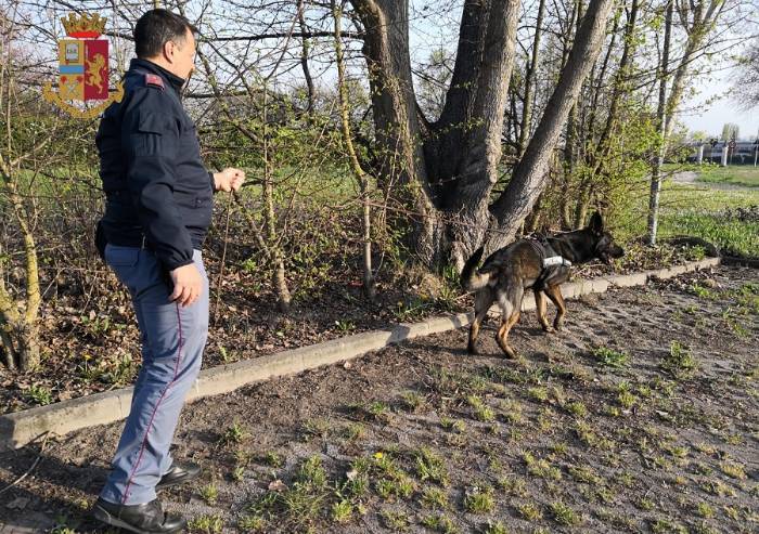 Carpi, parchi al setaccio, la Polizia trova droga e un clandestino