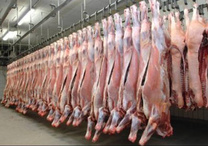 Lavorazione carni, ispezioni in 17 aziende modenesi: 16 denunce 