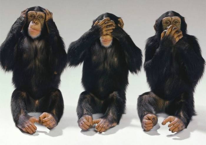'Tradimento 5 Stelle, ora prima il Movimento scompare meglio ?'