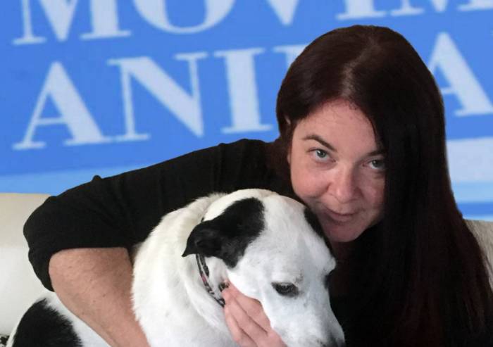 'Caro Sassi, di storie di gruppi facinorosi la destra ha tanti esempi'