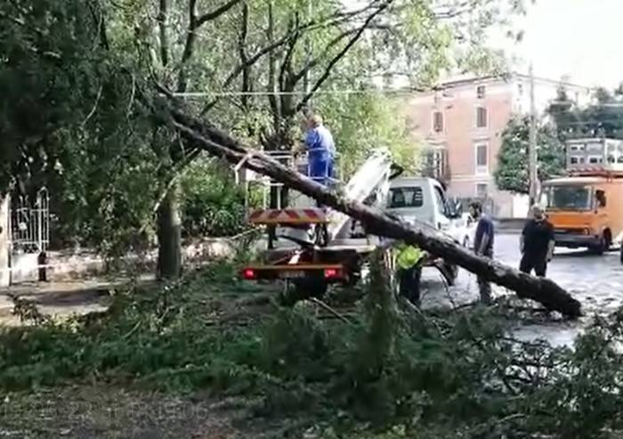 Grandinata devastante, 4 milioni di danni a edifici pubblici a Modena