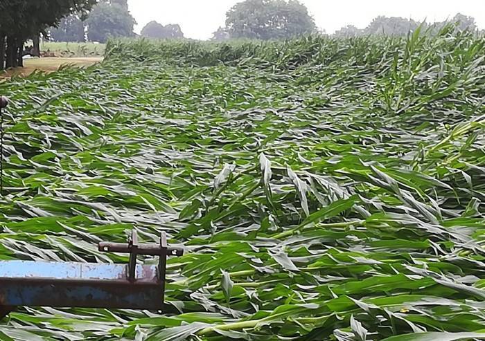 Grandine, a Nonantola e Castelfranco danni per oltre 4,5 milioni